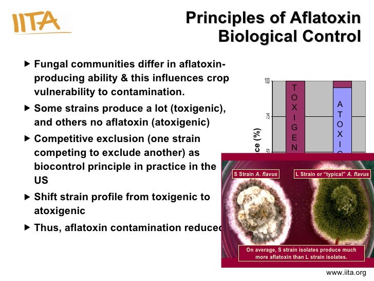 Our role in biocontrol